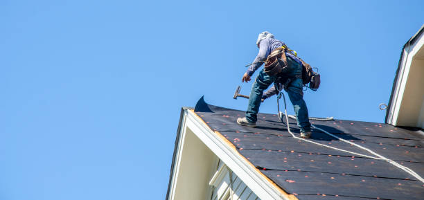 Best Roof Gutter Cleaning  in Dilworth, MN